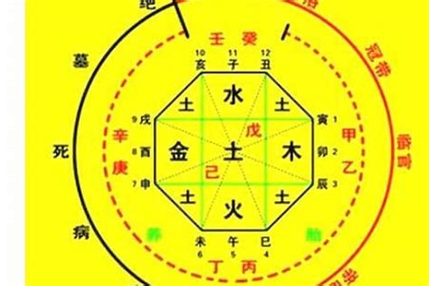 八字查詢五行|生辰八字算命、五行喜用神查詢（免費測算）